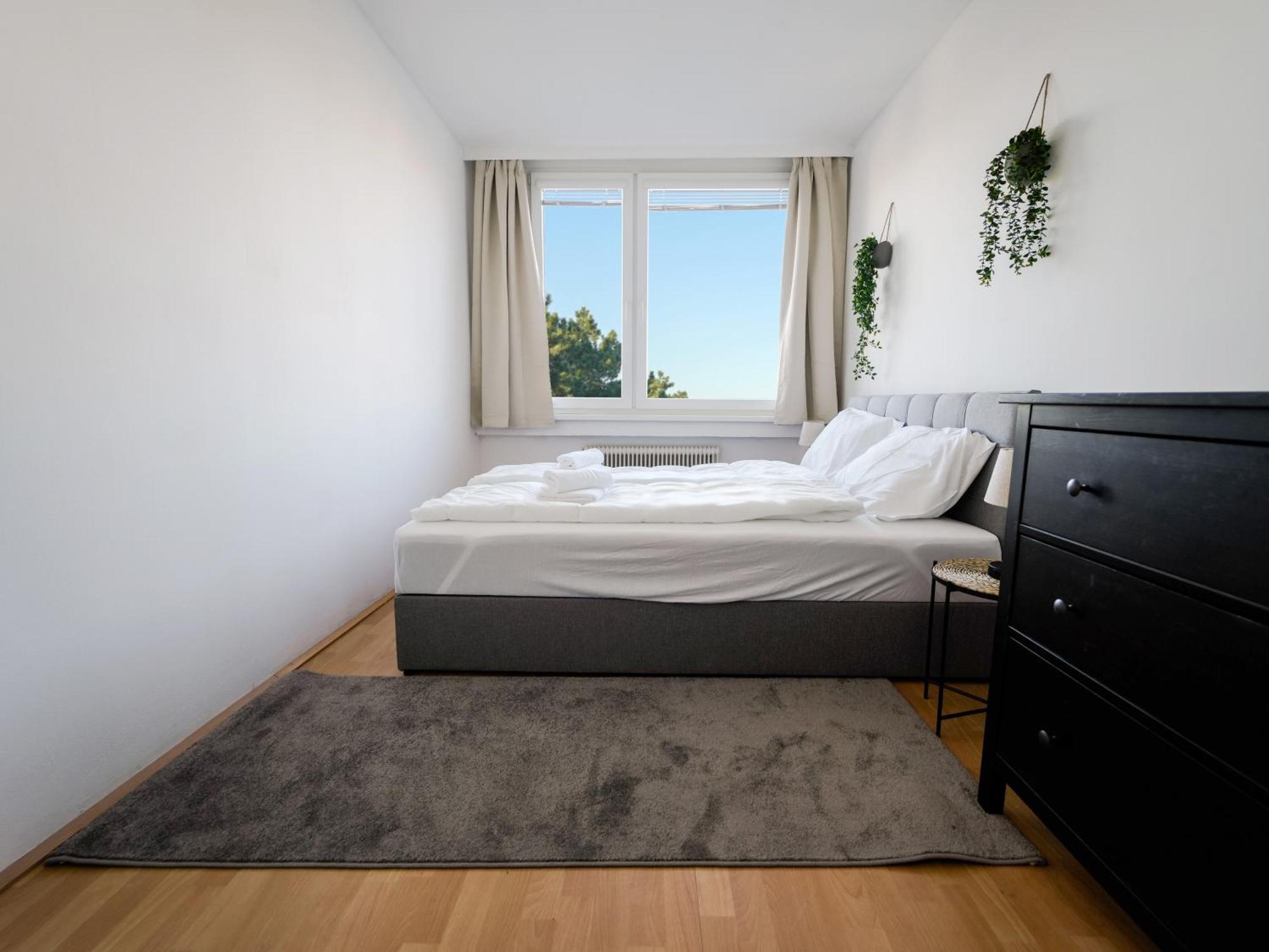 Spacious Apartments With View & Free Parking Wiener Neustadt Luaran gambar